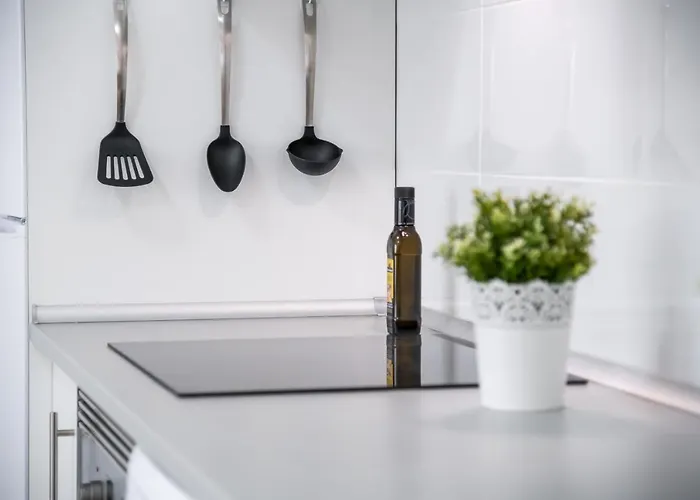 B18 Stunning Tajinaste En Abrigos * 阿布里斯