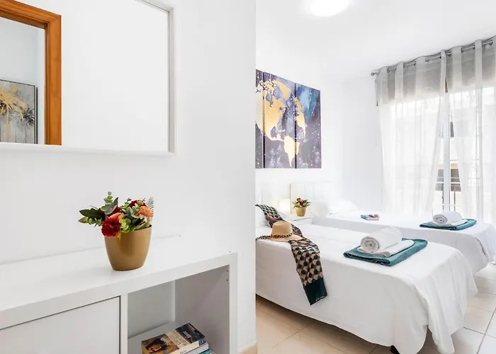 B18 Stunning Tajinaste En Abrigos