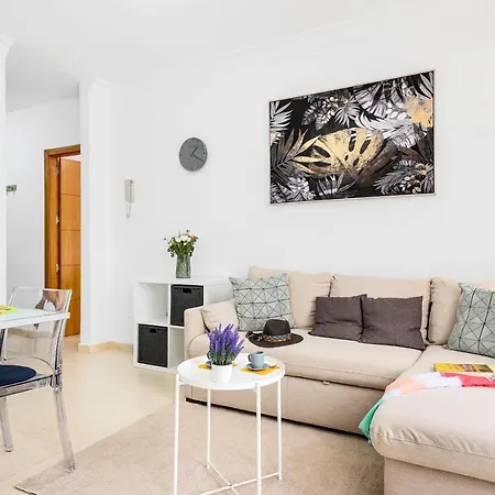 B18 Stunning Tajinaste En Abrigos