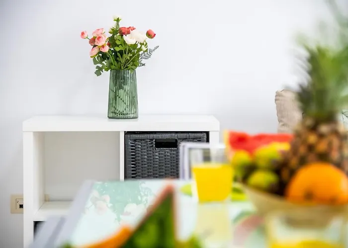 B18 Stunning Tajinaste En Abrigos * 阿布里斯